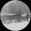 Steve Ellwood profile picture